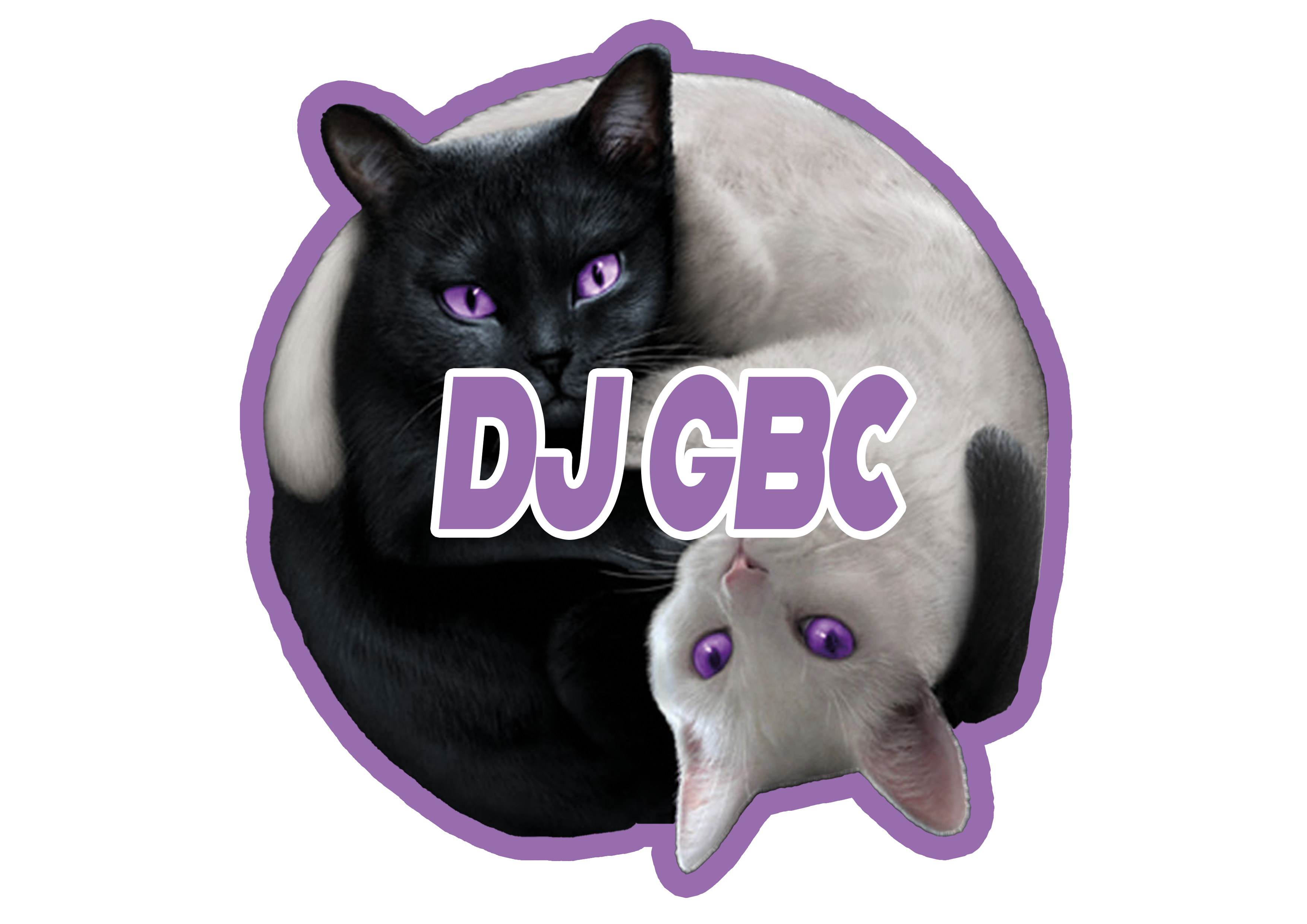 yinyang cats